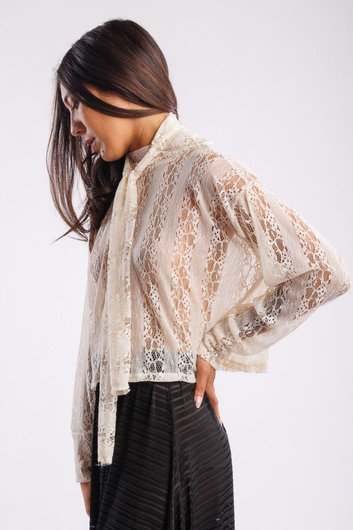 Lacey Crop T neck