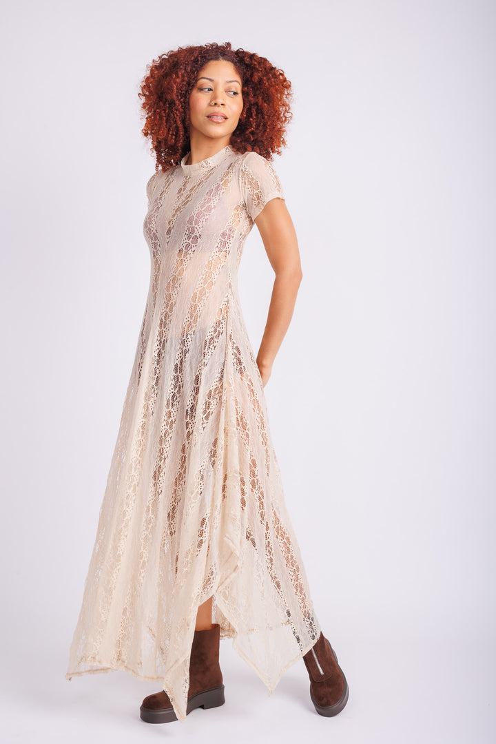 Reina Blush Lace Dress