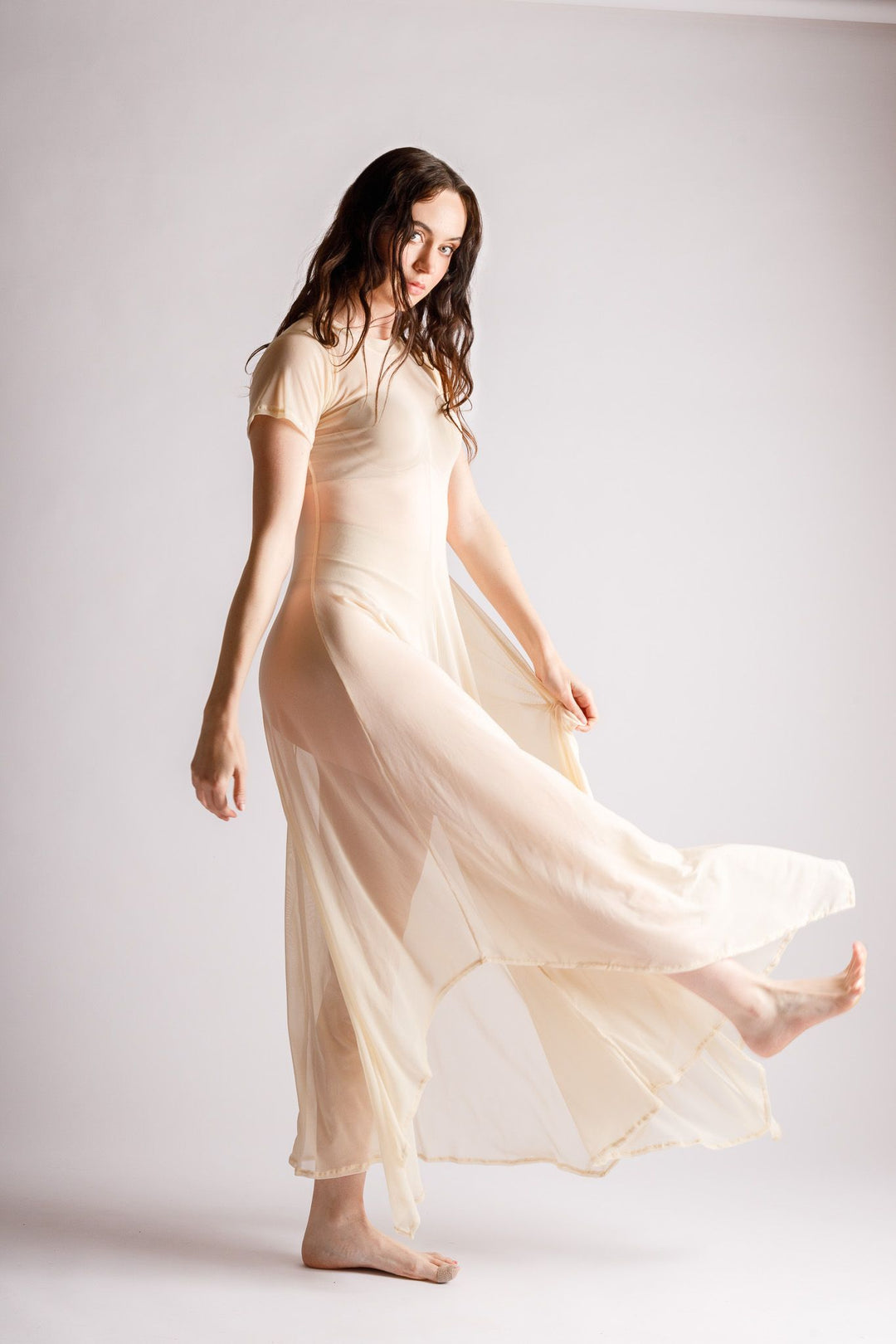 Reina Sheer Nude Dress