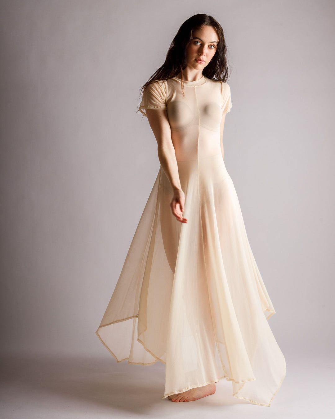 Reina Sheer Nude Dress