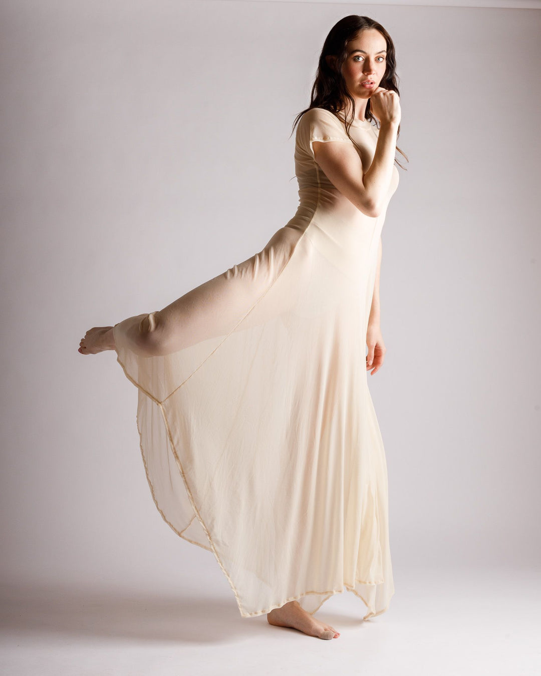 Reina Sheer Nude Dress