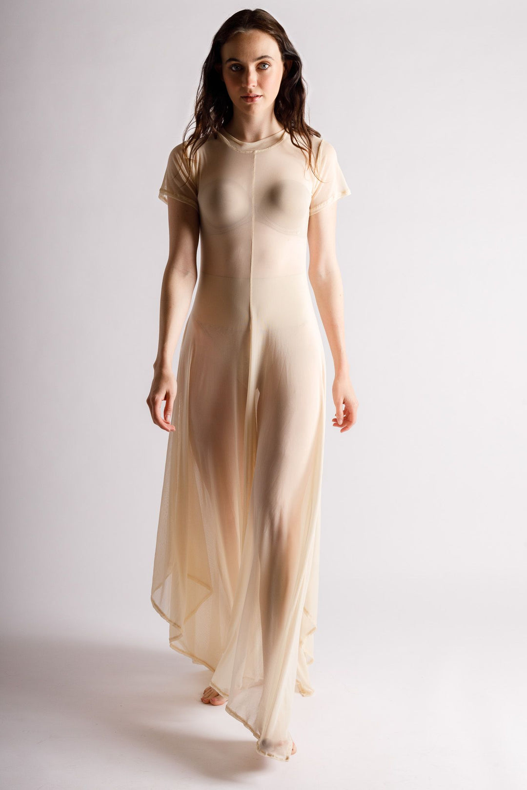 Reina Sheer Nude Dress