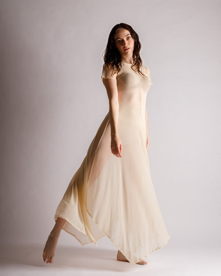 Reina Sheer Nude Dress